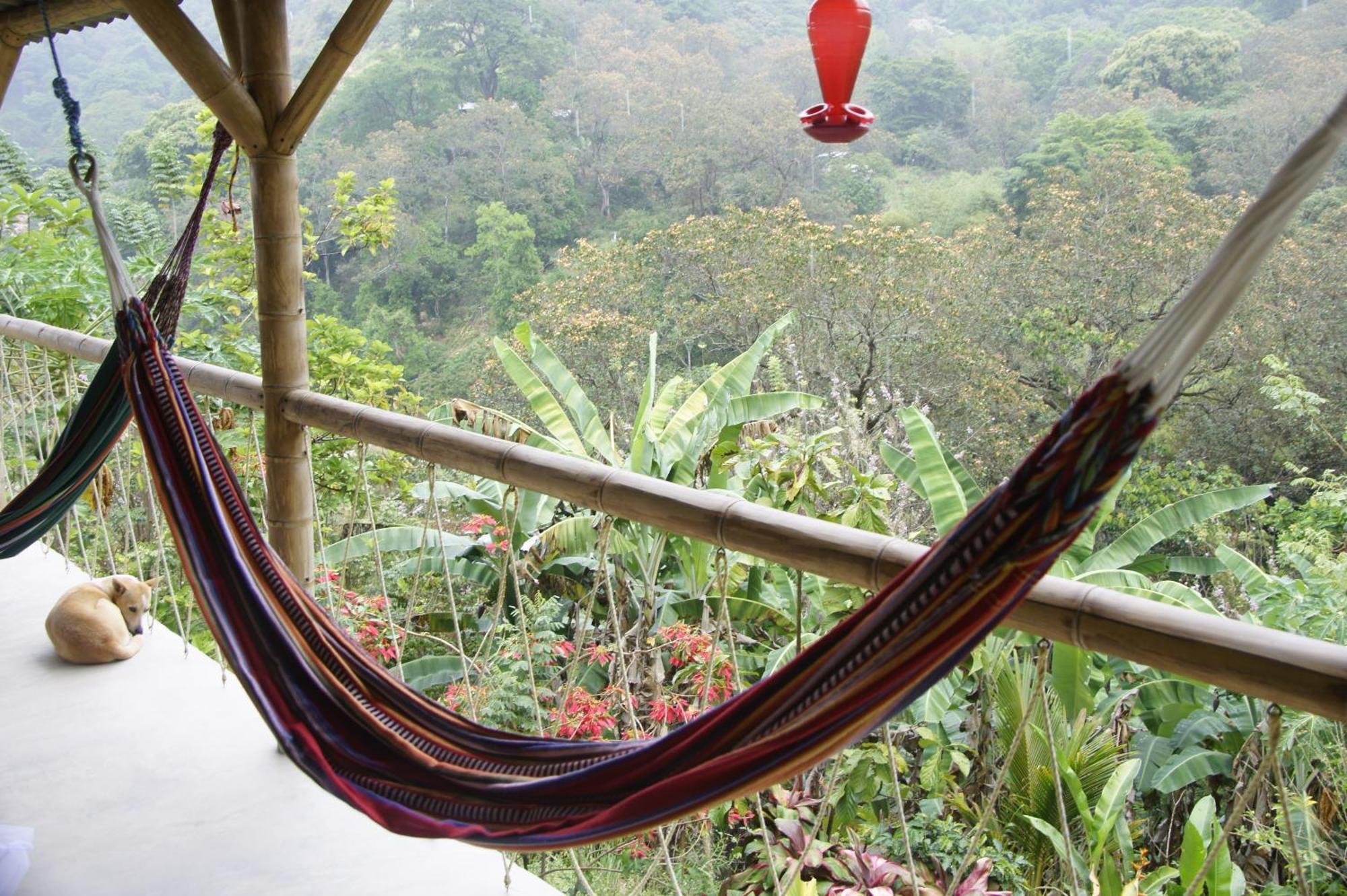 Hostal Vista Verde Minca Luaran gambar