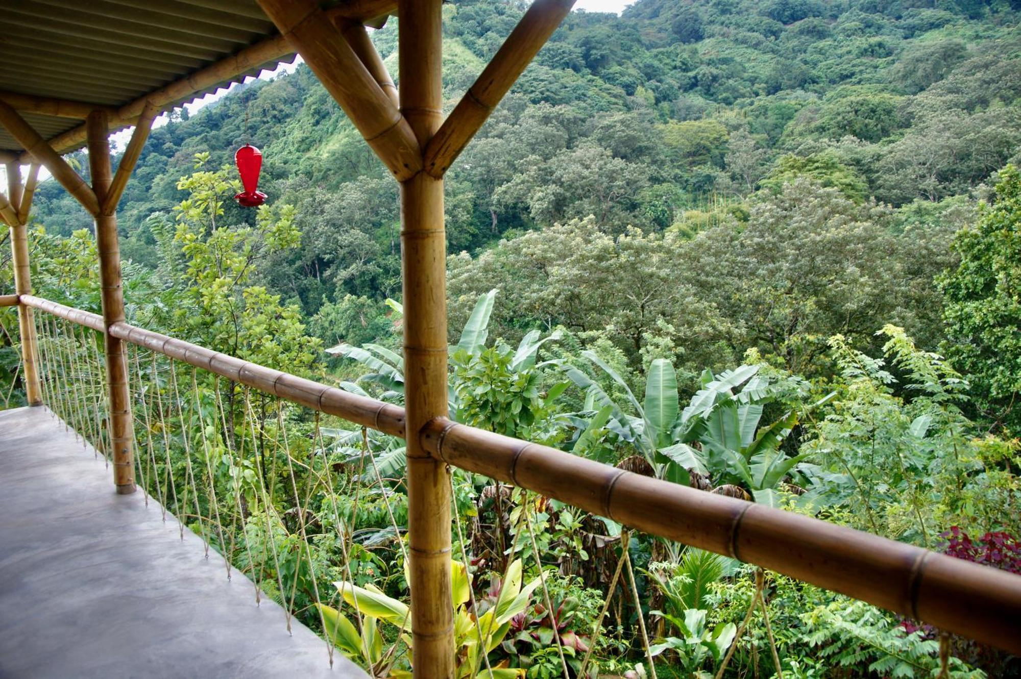 Hostal Vista Verde Minca Luaran gambar