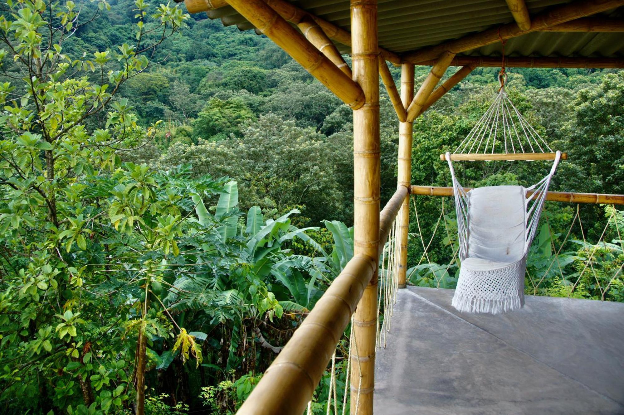 Hostal Vista Verde Minca Luaran gambar