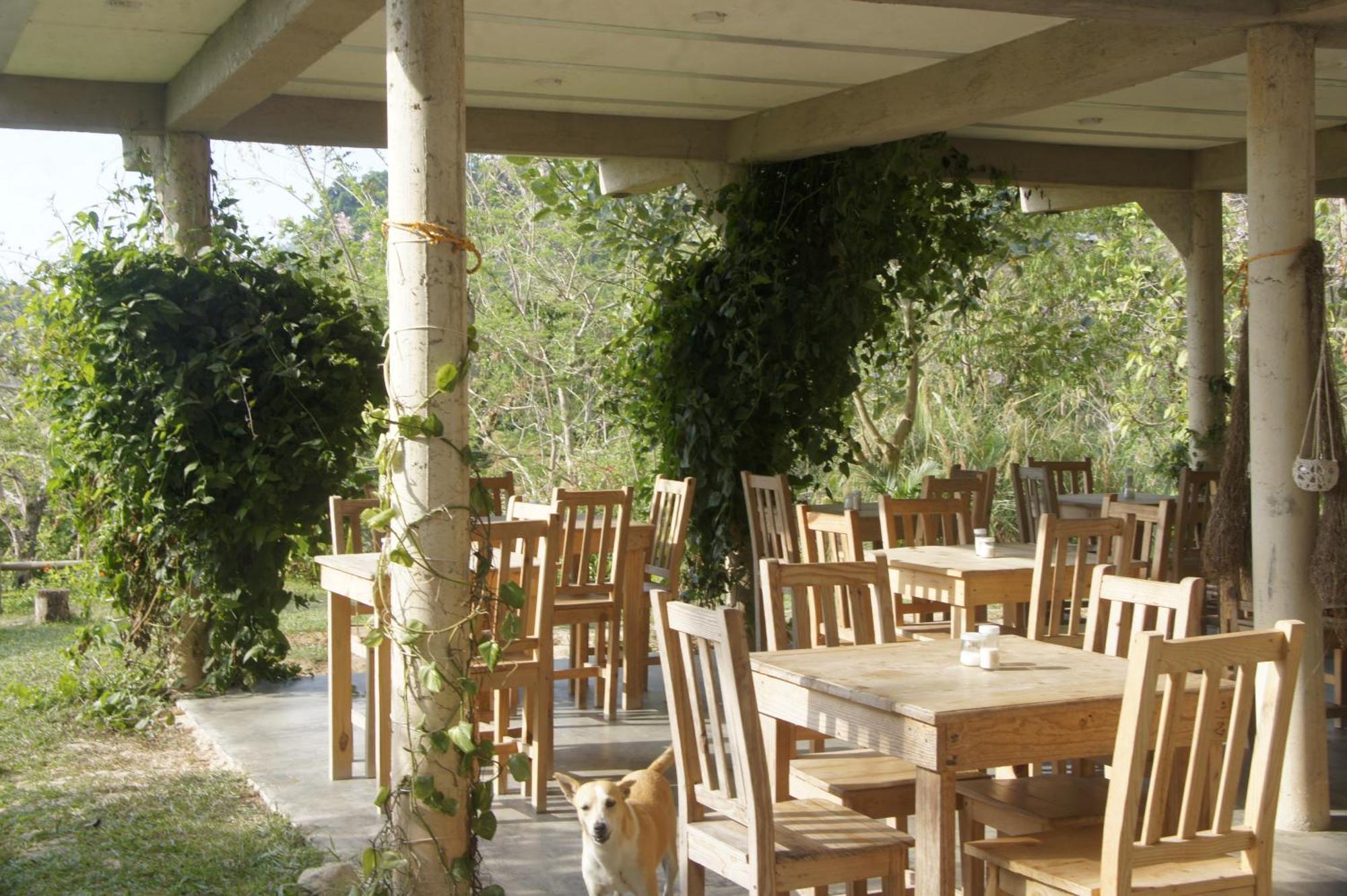 Hostal Vista Verde Minca Luaran gambar